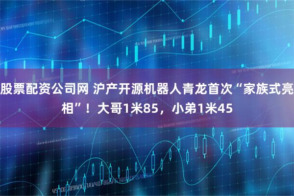 股票配资公司网 沪产开源机器人青龙首次“家族式亮相”！大哥1米85，小弟1米45