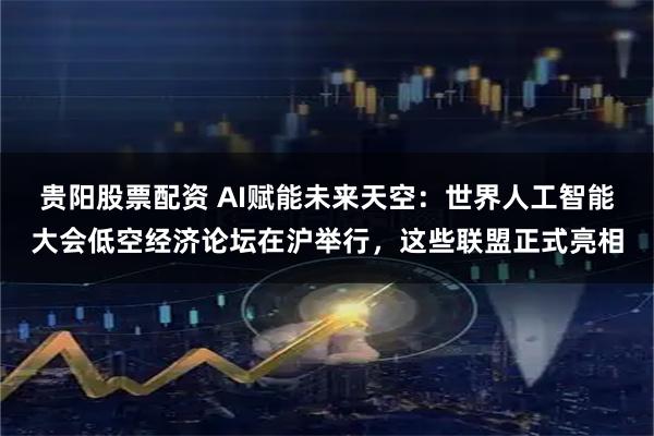 贵阳股票配资 AI赋能未来天空：世界人工智能大会低空经济论坛在沪举行，这些联盟正式亮相