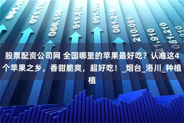 股票配资公司网 全国哪里的苹果最好吃？认准这4个苹果之乡，香甜脆爽，超好吃！_烟台_洛川_种植